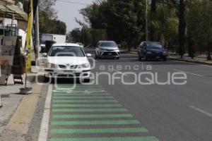 CICLOPISTA . BULEVAR FORJADORES