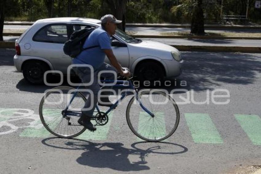 CICLOPISTA . BULEVAR FORJADORES