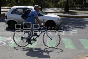 CICLOPISTA . BULEVAR FORJADORES