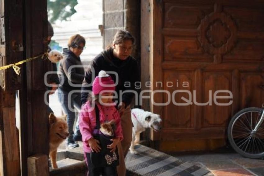 TLAXCALA . BENDICIÓN ANIMALES
