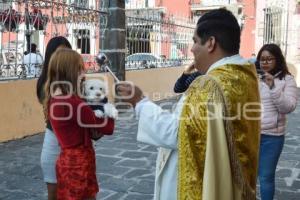 ATLIXCO . SAN ANTONIO