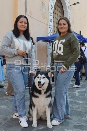 ATLIXCO . SAN ANTONIO