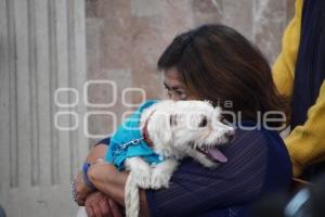 BENDICIÓN DE ANIMALES