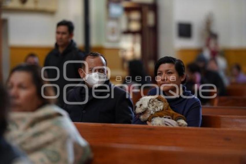 TLAXCALA . BENDICIÓN ANIMALES