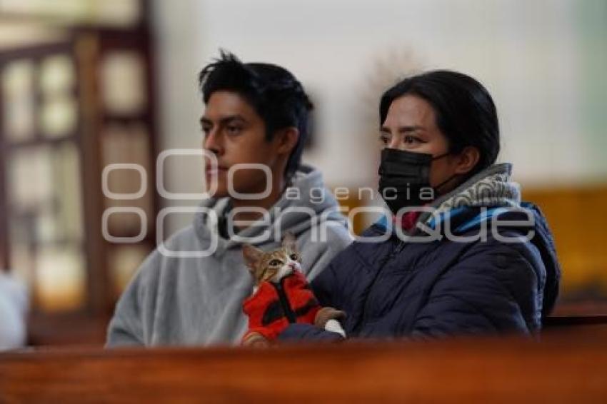 TLAXCALA . BENDICIÓN ANIMALES