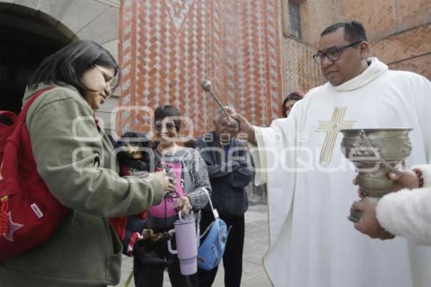 SAN ANTONIO . BENDICIÓN ANIMALES