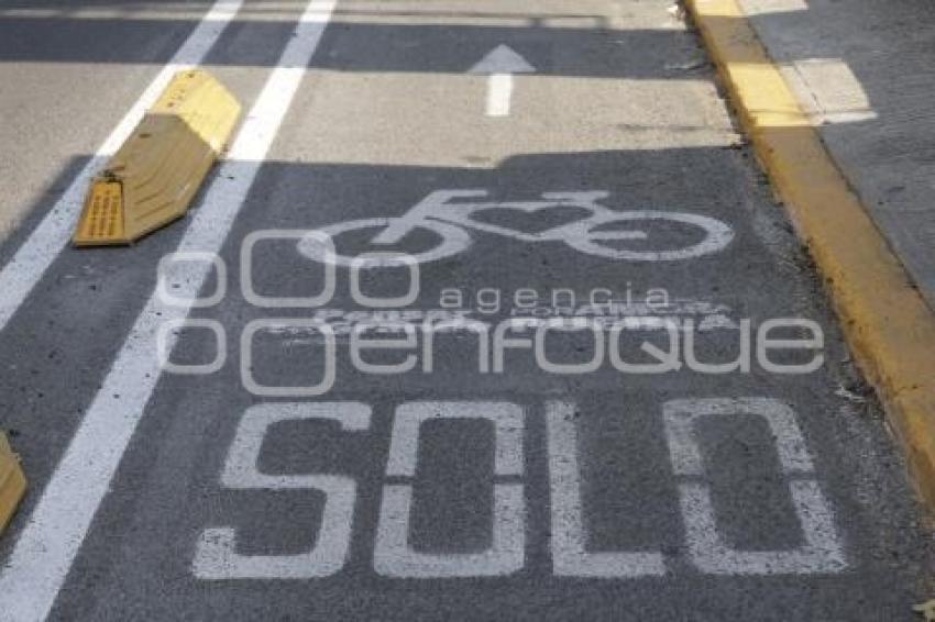 CICLOVÍA RECTA A CHOLULA