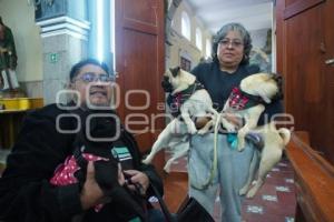 BENDICIÓN DE ANIMALES