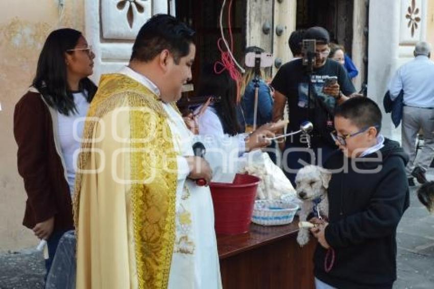 ATLIXCO . SAN ANTONIO