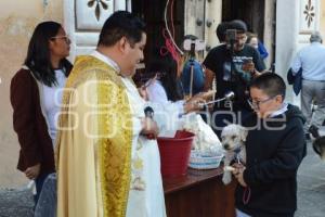 ATLIXCO . SAN ANTONIO