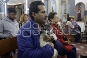 SAN ANTONIO . BENDICIÓN ANIMALES