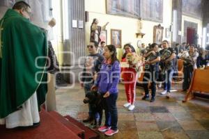 BENDICIÓN DE ANIMALES