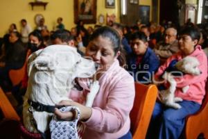 BENDICIÓN DE ANIMALES