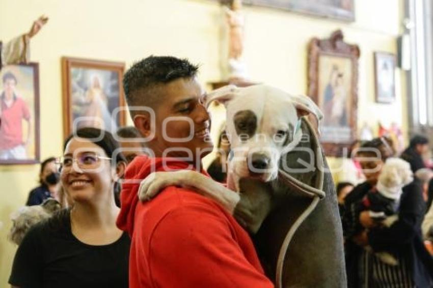 BENDICIÓN DE ANIMALES