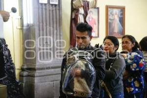 BENDICIÓN DE ANIMALES