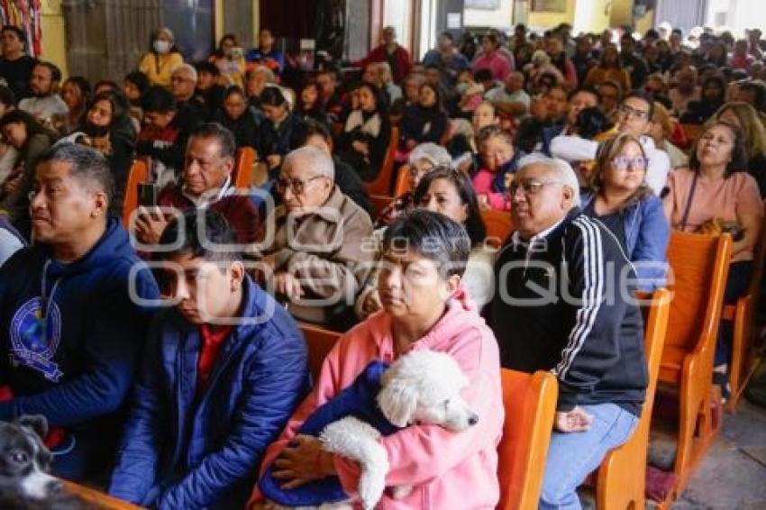 BENDICIÓN DE ANIMALES