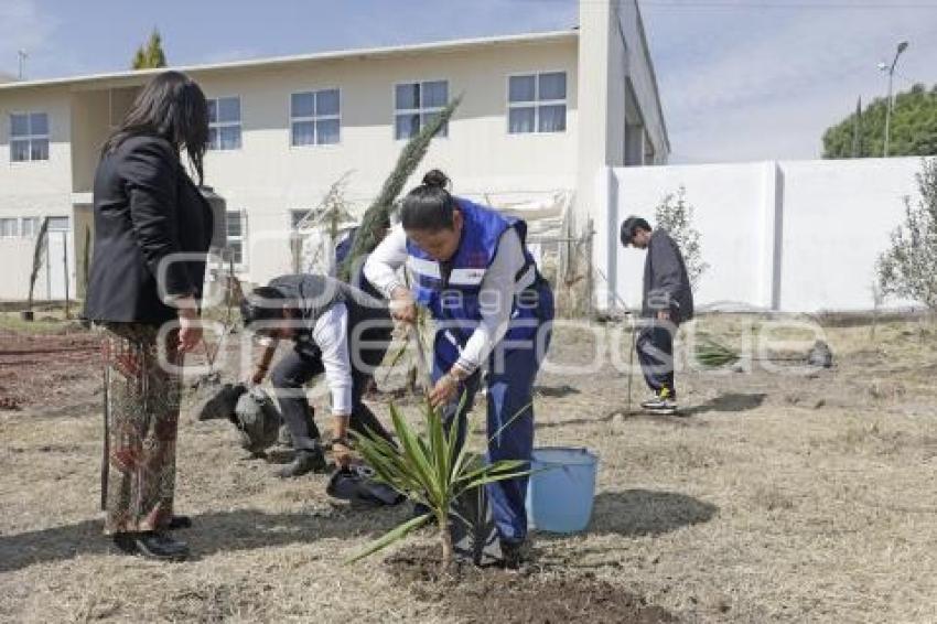 SAN ANDRÉS CHOLULA . PROGRAMA COSECHANDO LLUVIA