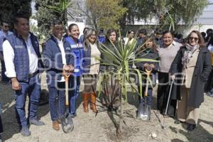 SAN ANDRÉS CHOLULA . PROGRAMA COSECHANDO LLUVIA