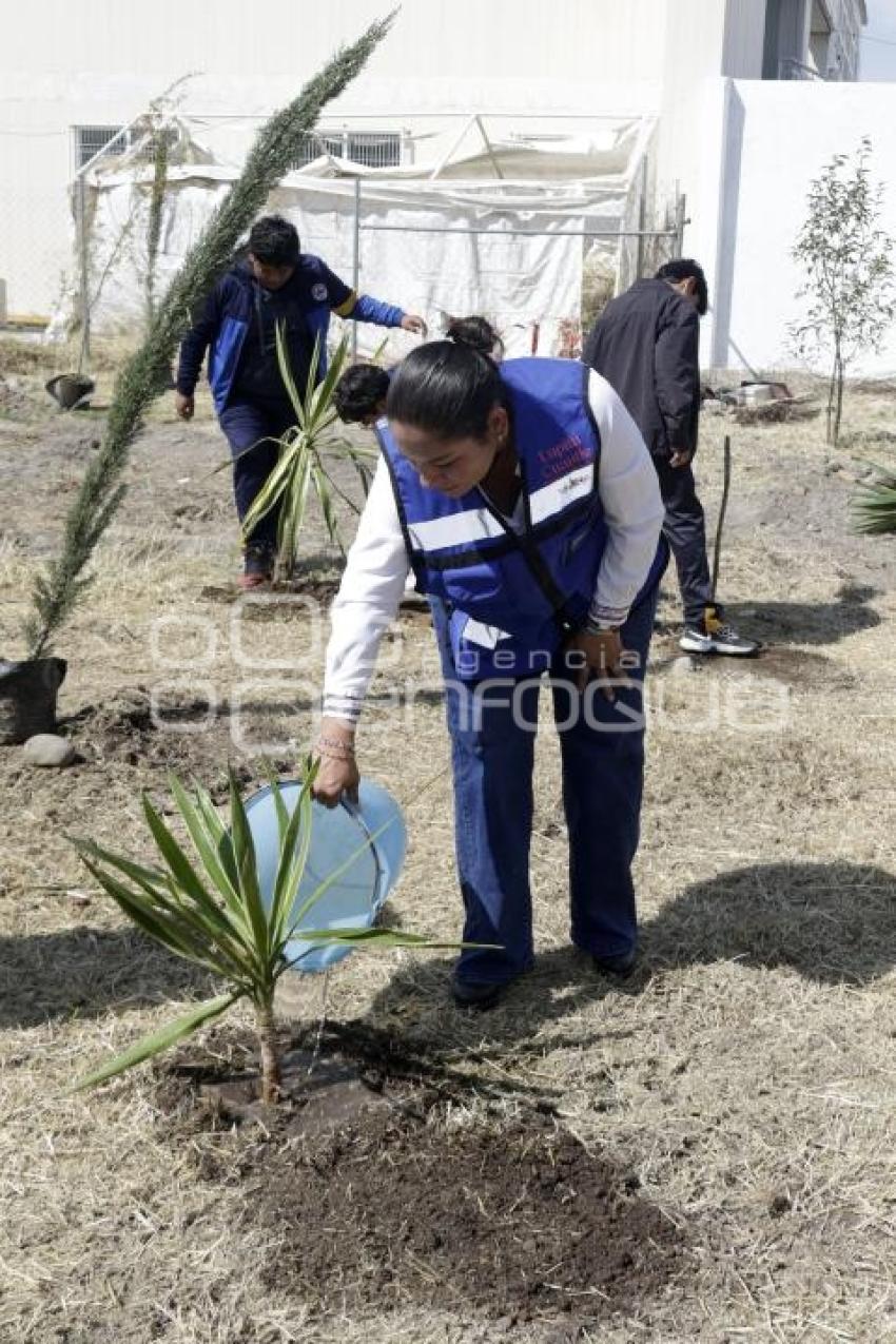 SAN ANDRÉS CHOLULA . PROGRAMA COSECHANDO LLUVIA