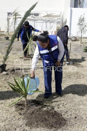 SAN ANDRÉS CHOLULA . PROGRAMA COSECHANDO LLUVIA