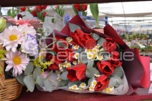 ATLIXCO . TEMPORADA DE TULIPANES