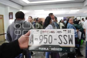 REEMPLACAMIENTO TRANSPORTE PÚBLICO