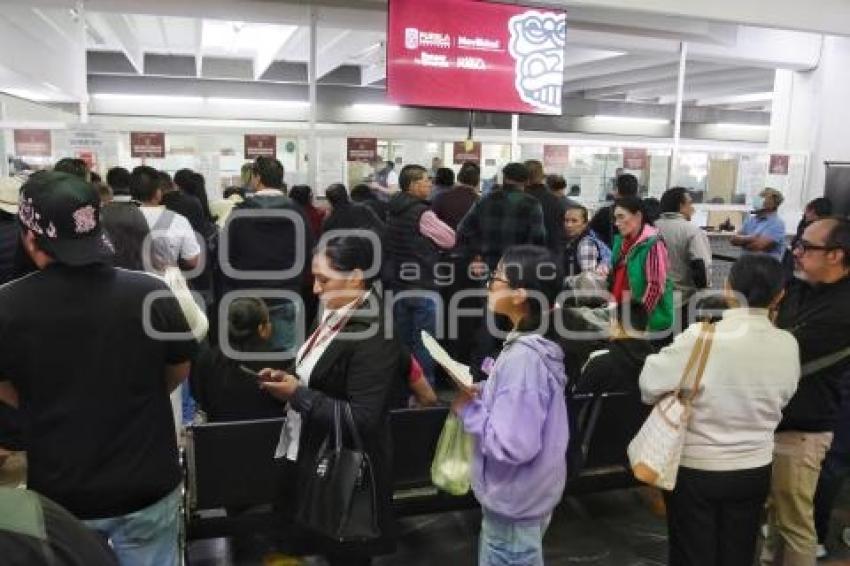 REEMPLACAMIENTO TRANSPORTE PÚBLICO