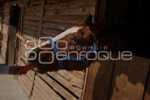 TLAXCALA . CUACOLANDIA