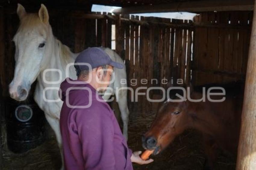 TLAXCALA . CUACOLANDIA