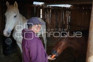 TLAXCALA . CUACOLANDIA