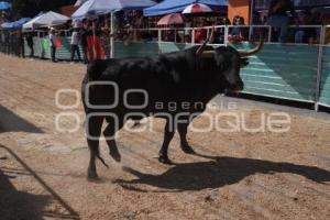 TLAXCALA . SAN JUANADA