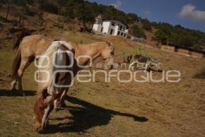 TLAXCALA . CUACOLANDIA