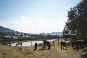 TLAXCALA . CUACOLANDIA