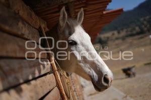 TLAXCALA . CUACOLANDIA