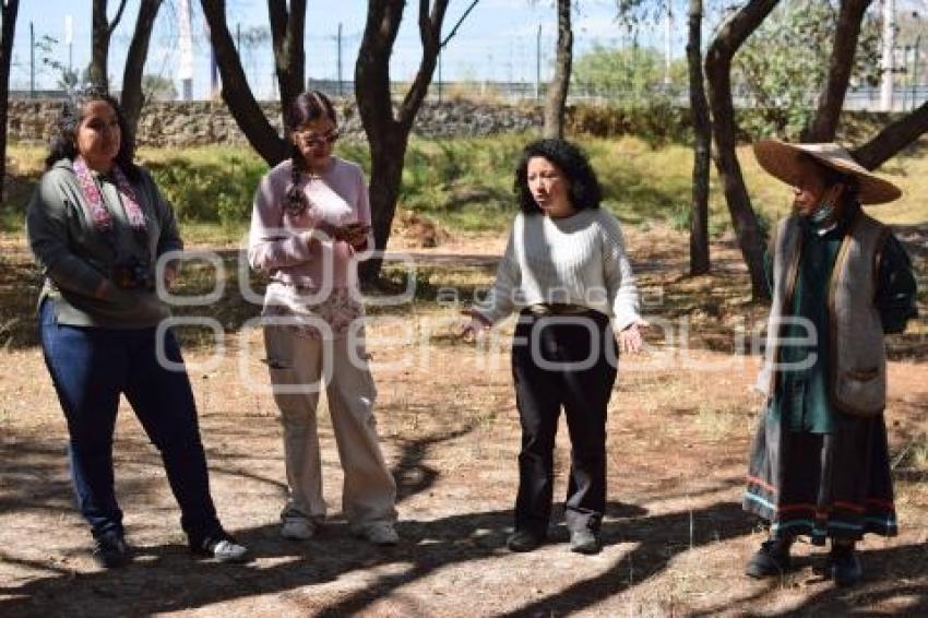 TLAXCALA . PARQUE DE LA JUVENTUD