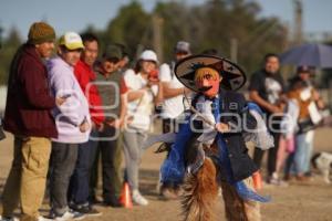 TLAXCALA . CARRERA DE CHIVARRUDOS