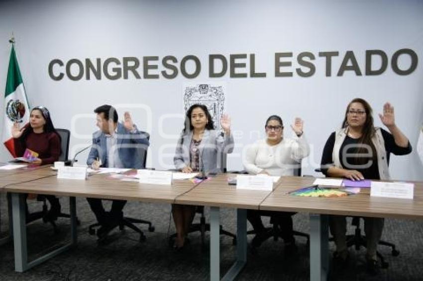 CONGRESO . COMISIÓN ORGANIZACIONES