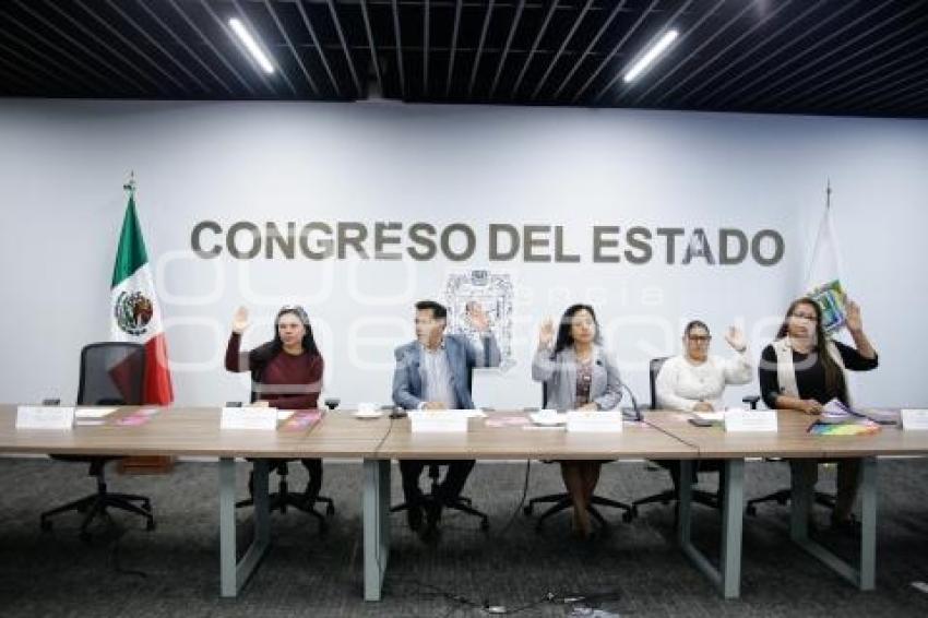 CONGRESO . COMISIÓN ORGANIZACIONES