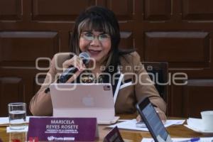 MARICELA REYES ROSETE