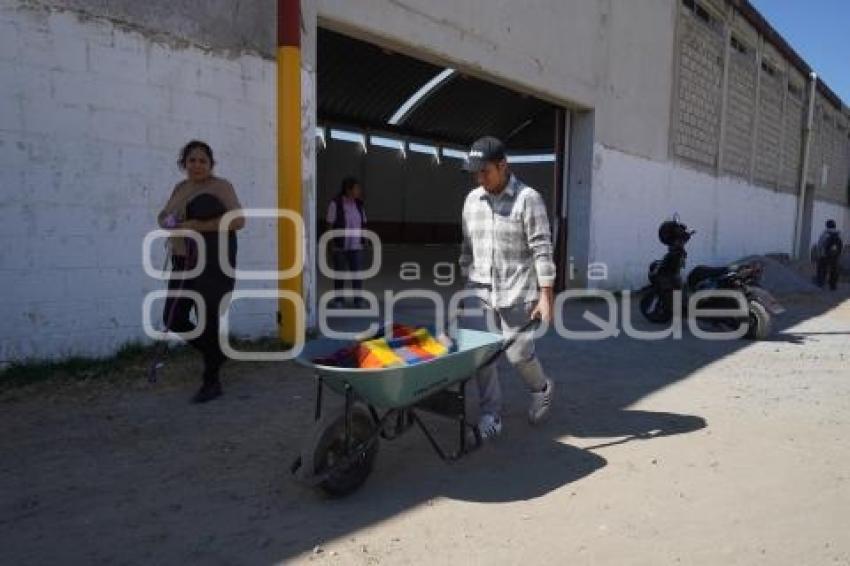 TLAXCALA . ESTERILIZACIÓN PERROS Y GATOS