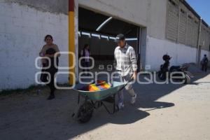 TLAXCALA . ESTERILIZACIÓN PERROS Y GATOS