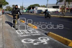 CICLOVÍA . FORJADORES