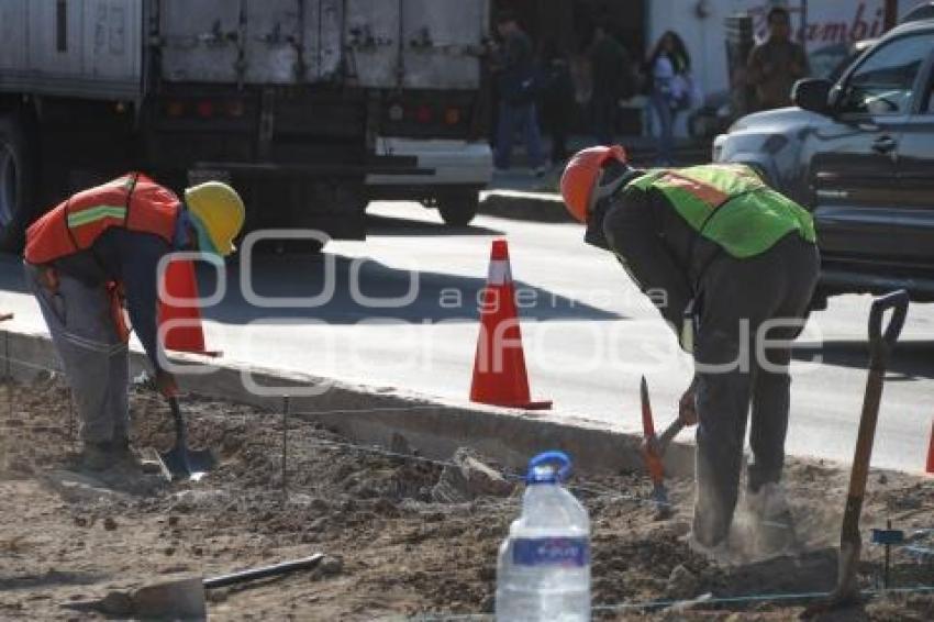 OBRA . PASEO DE LAS Y LOS CAMPEONES