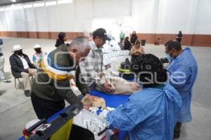 TLAXCALA . ESTERILIZACIÓN PERROS Y GATOS