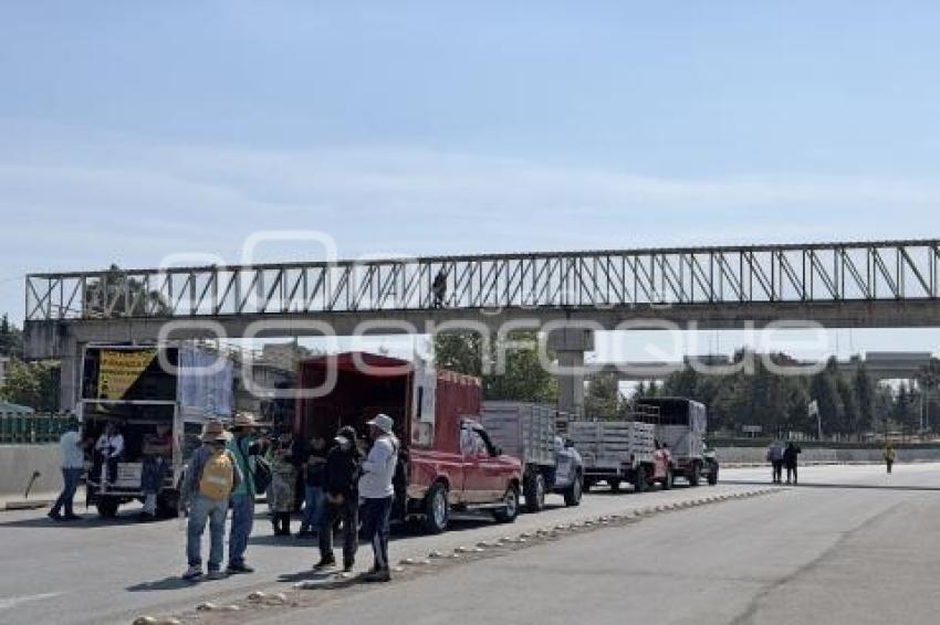 MANIFESTACIÓN . CENTRAL DE ABASTO