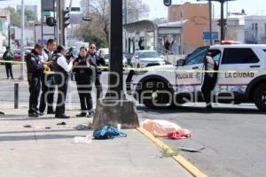 NOTA ROJA . ATROPELLADO