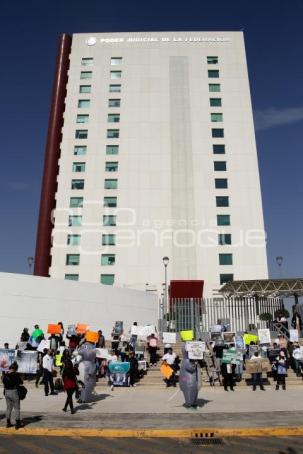 MANIFESTACIÓN . EXPERIMENTOS EN ANIMALES
