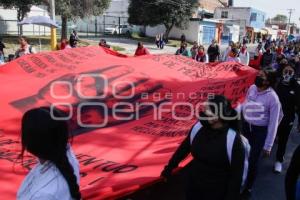 MANIFESTACIÓN . NORMALISTAS