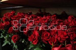 PRODUCCIÓN ROSA POBLANA