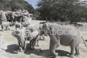 ENTREGA ÁRBOLES NAVIDAD